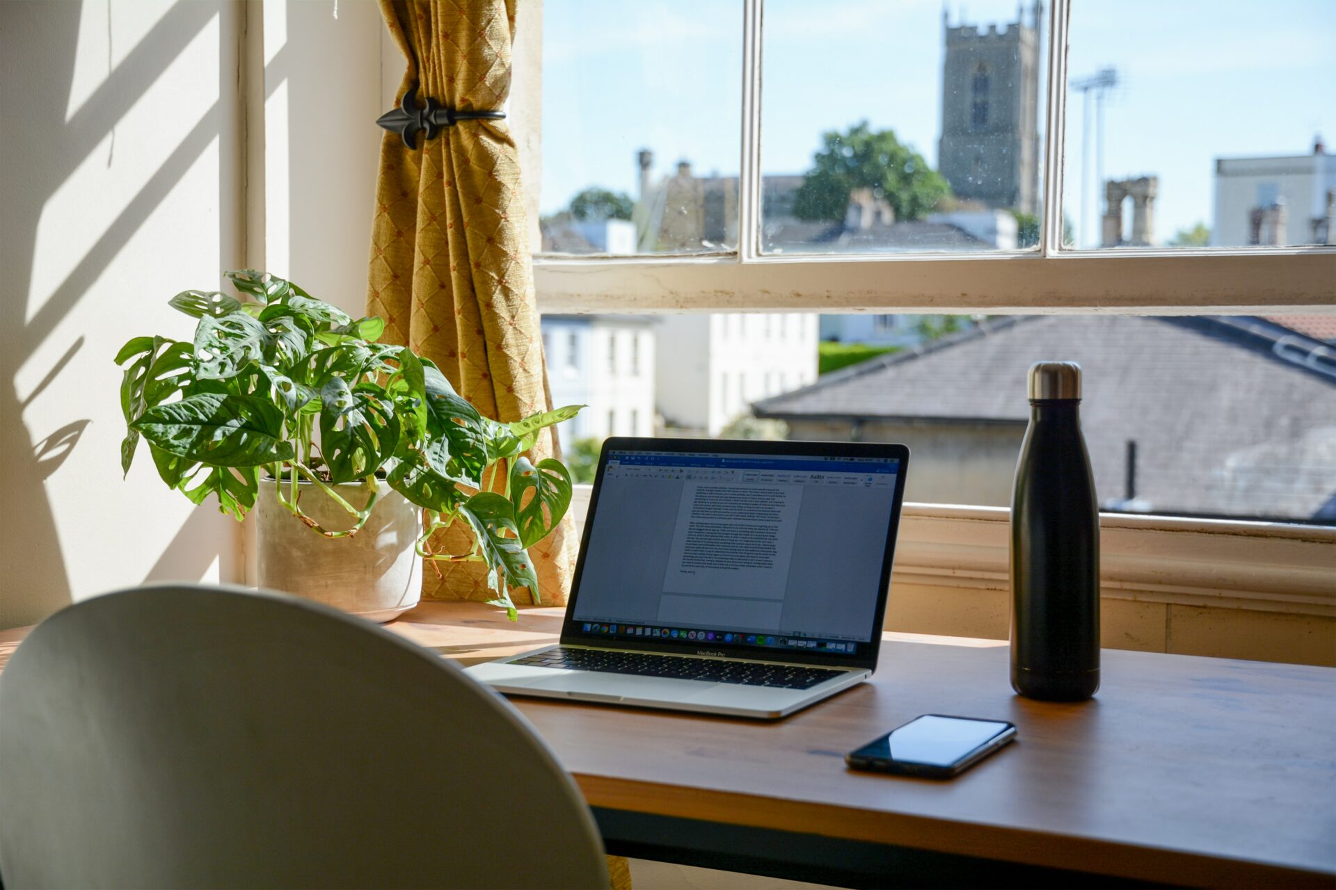 Quais plantas usar para decorar seu ambiente de trabalho?